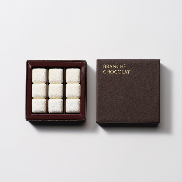 画像内容＋チョコ10 01_grande.jpg?v=1708061055